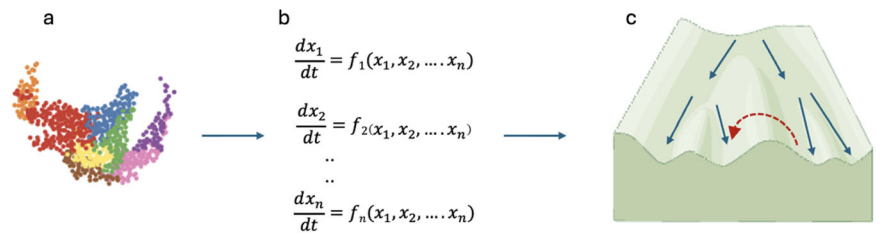 Dynamical System Theory Paper
