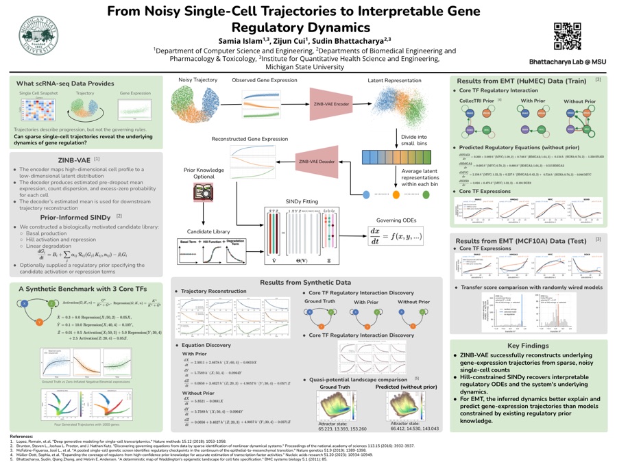 Poster: From Noisy Single-Cell Trajectories to Interpretable Gene Regulatory Dynamics