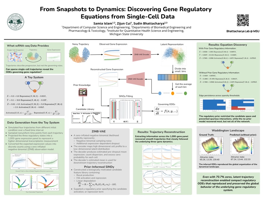 Poster: From Snapshots to Dynamics: Discovering Gene Regulatory Equations from Single-Cell Data