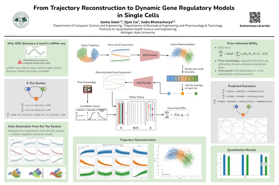 Poster: From Trajectory Reconstruction to Dynamic Gene Regulatory Models in Single Cells